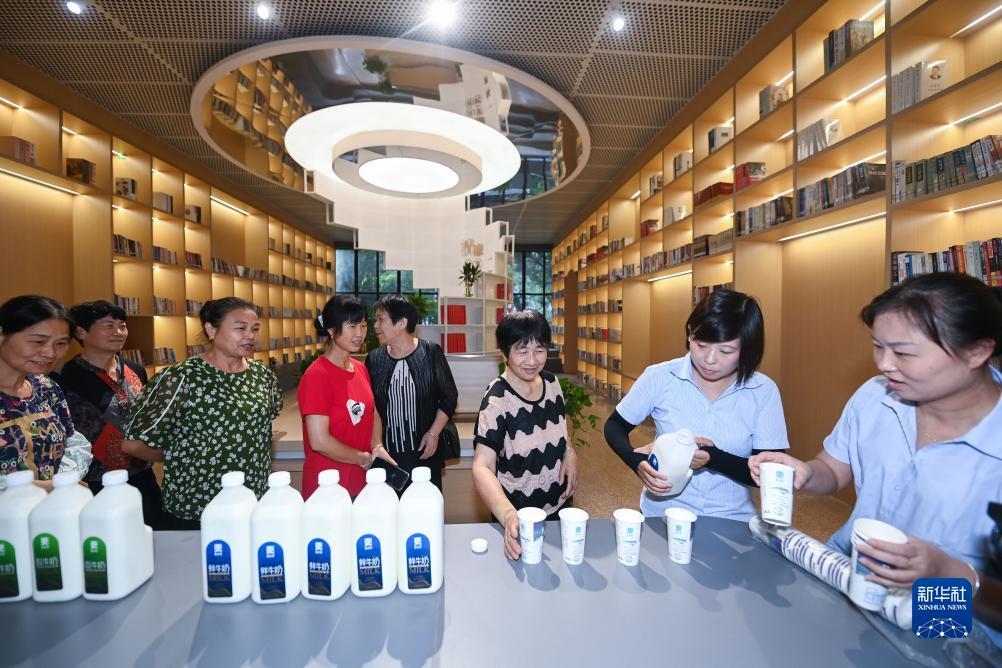 维多利亚vic112